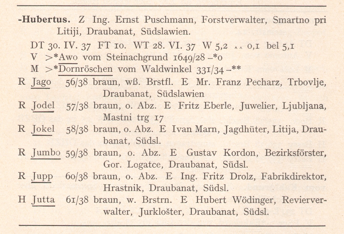 RZB Wurf Hubertus 1938